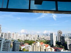 Soleil @ Sinaran (D11), Condominium #464196751